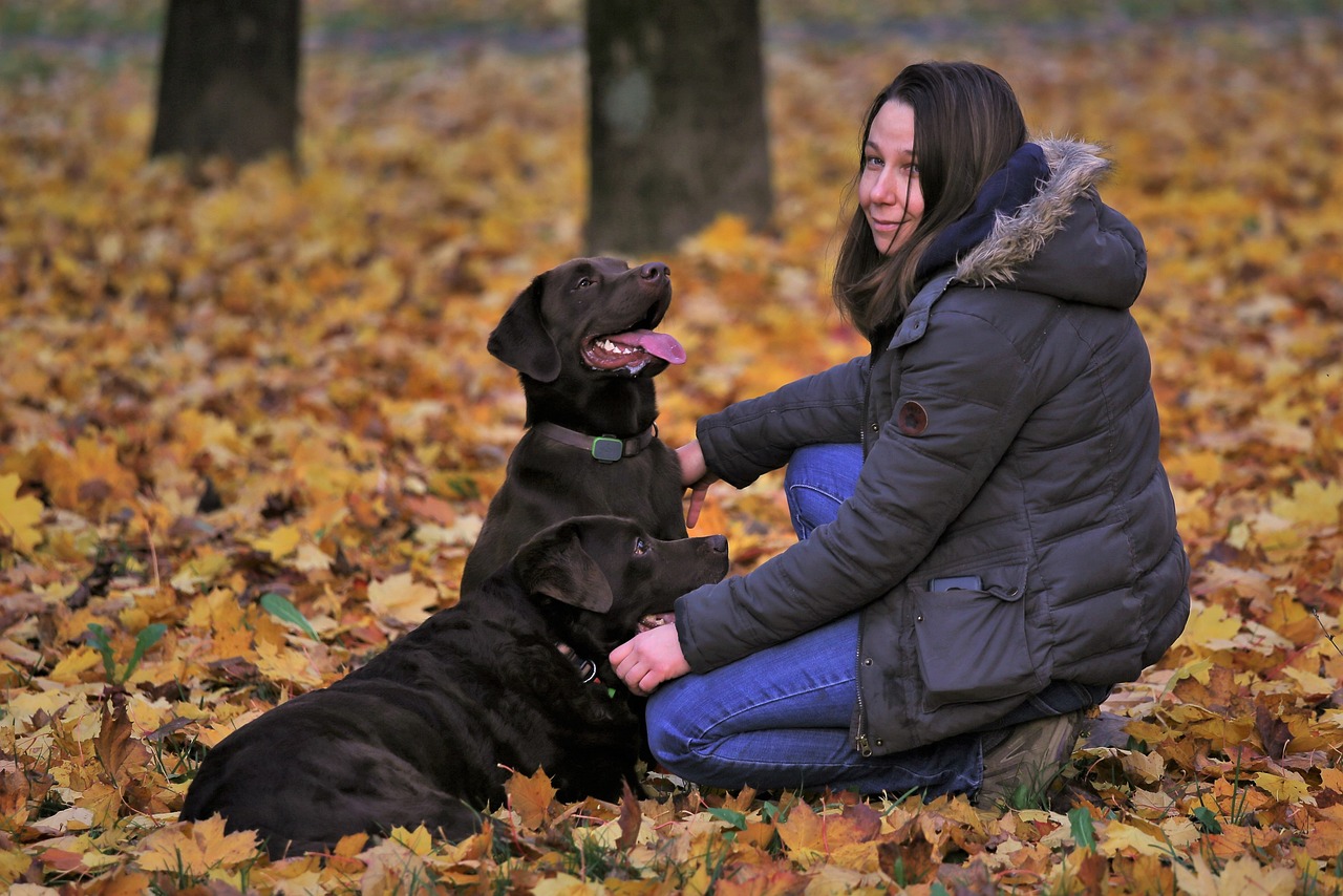 Can Dogs Detect PTSD Through Smell?
