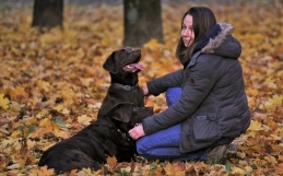 Can Dogs Detect PTSD Through Smell?