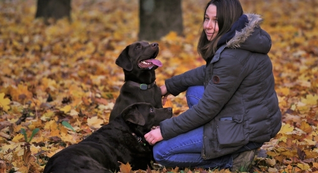 Can Dogs Detect PTSD Through Smell?